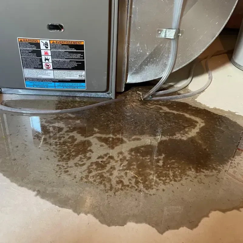 Appliance Leak Cleanup in Ponca, NE